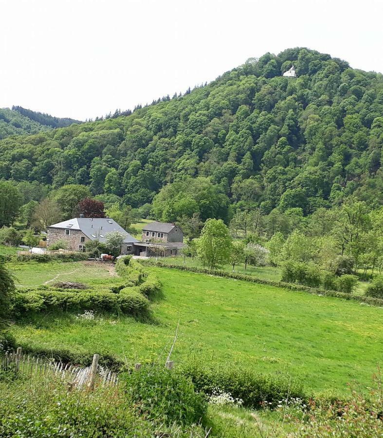 Bed & Breakfast Vallee De L'Ourthe Marcourt Dış mekan fotoğraf